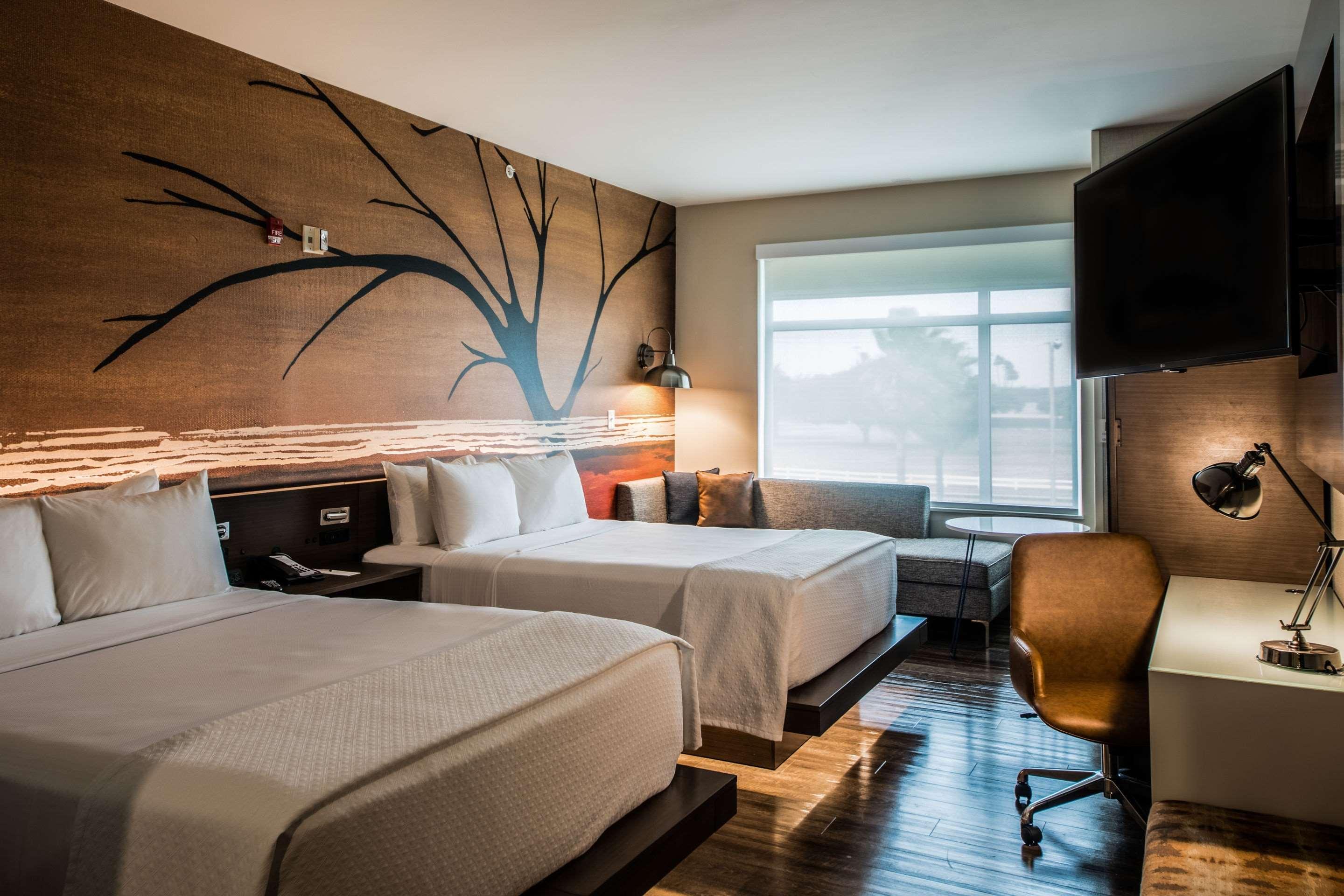 Cambria Hotel Mcallen Convention Center Zewnętrze zdjęcie